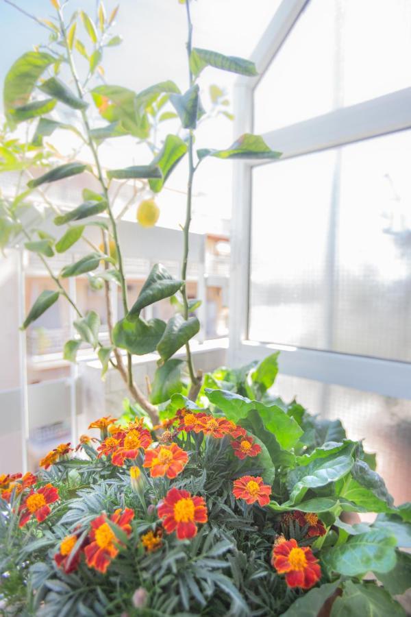 Beautiful And Comfortable Apartment At Marina Zeas 피레아스 외부 사진